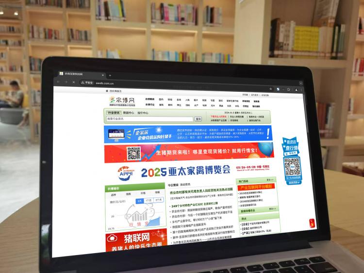 手工羽毛扇網(wǎng)站如何憑借傳統(tǒng)工藝傳承擴大流量？同行都是怎么做的？